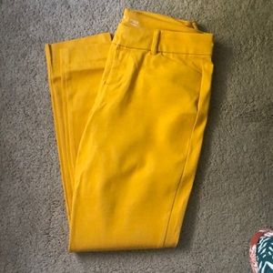Mustard Pixie Pants